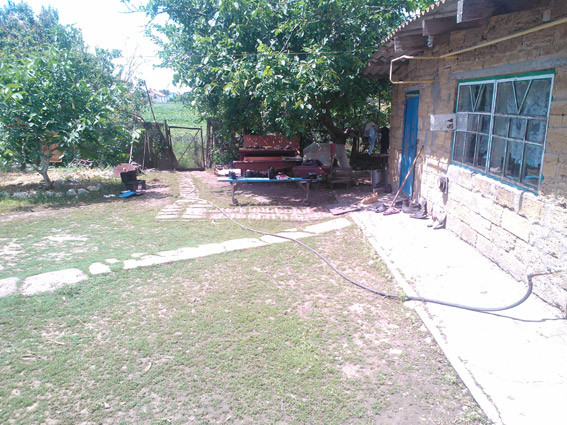 PM128image002
