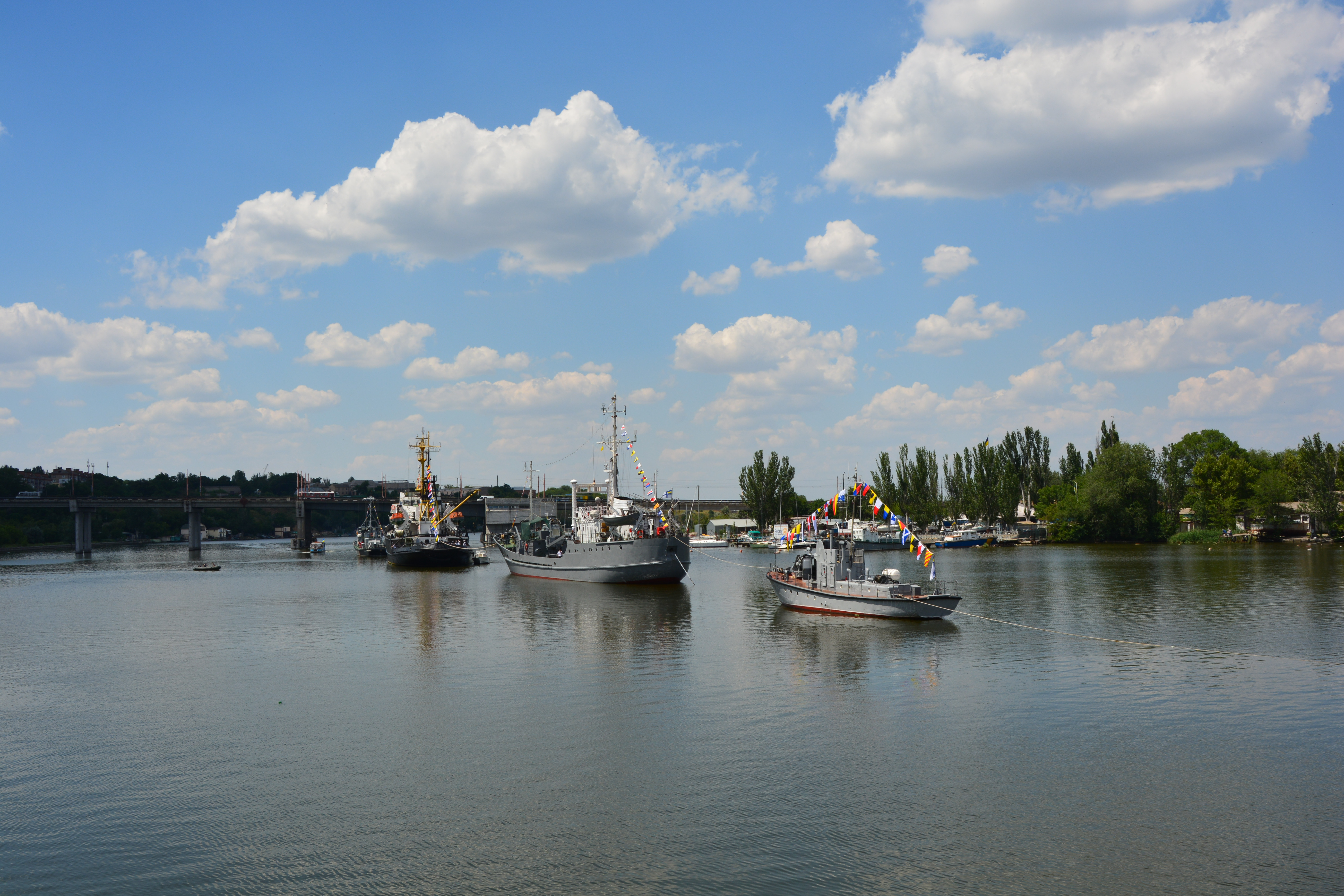 DSC_0293