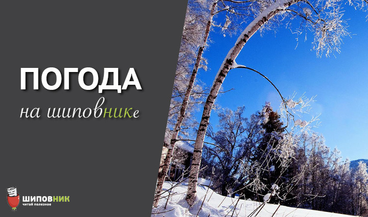 зима_ясно
