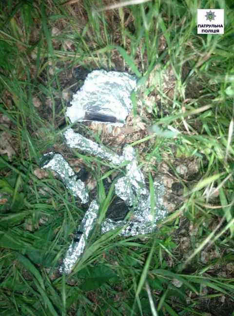 18518090_656472937897249_4761025782063308605_o