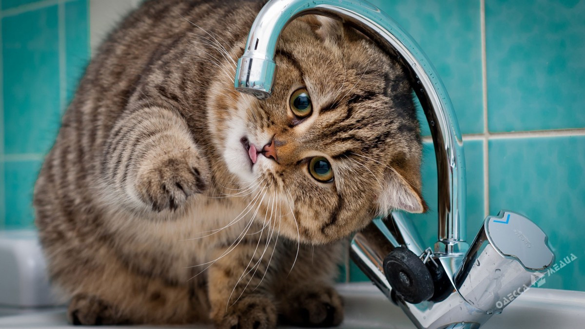 3531006fe4896c5e8fcd2064243e07ef-2