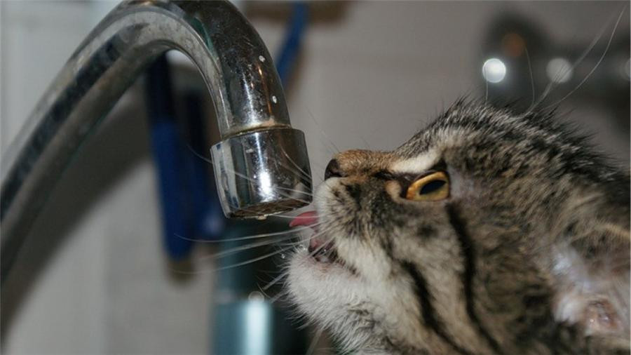 img-20150331091747-991