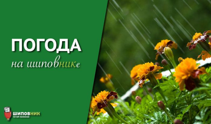 vesna_dozhd-3-700x413