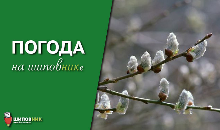 весна_пасмурно