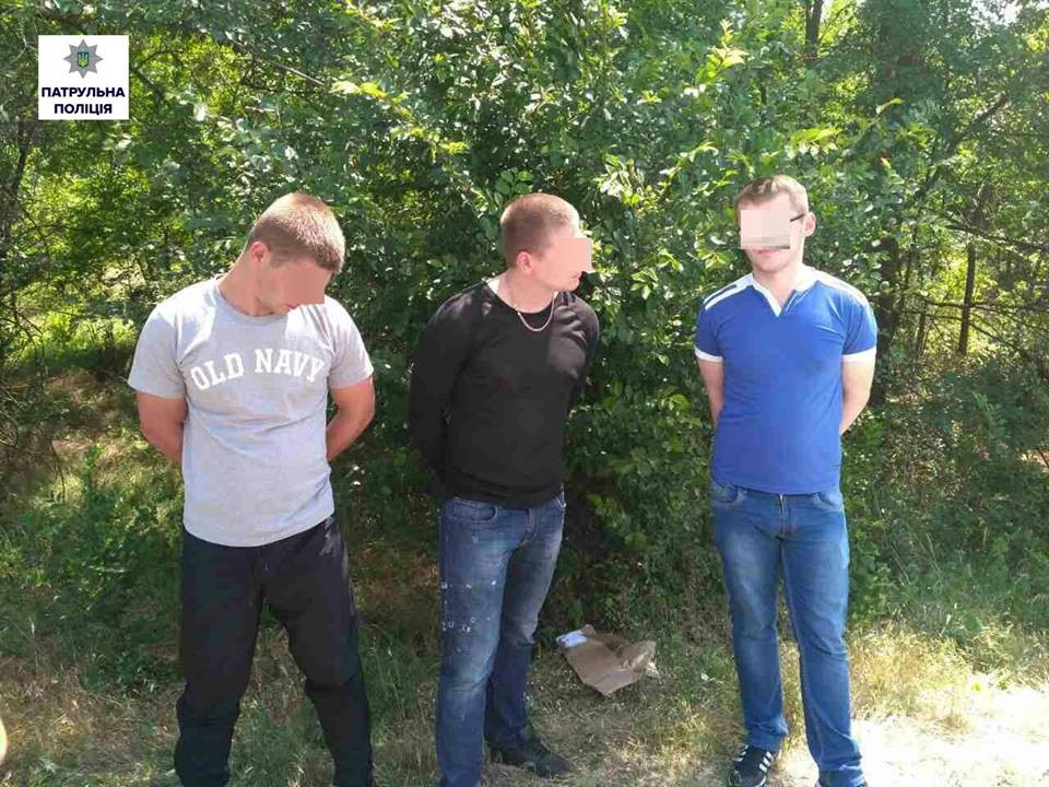 19059495_668574803353729_3787002933983298267_n