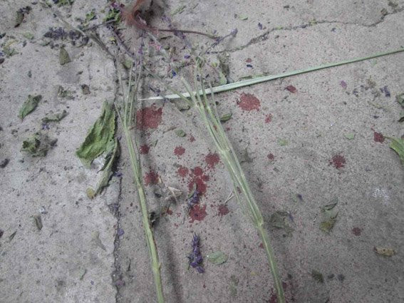 19105871_464799973853052_7765889905130882903_n