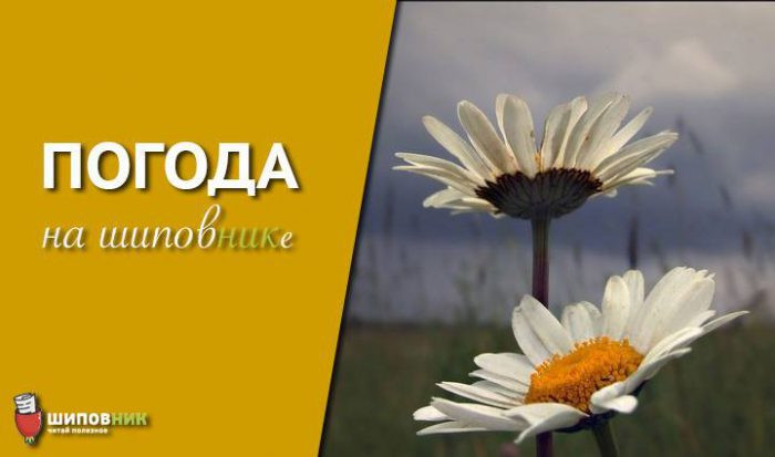 19114564_1792557444392885_209109794_n-700x413-1-700x413