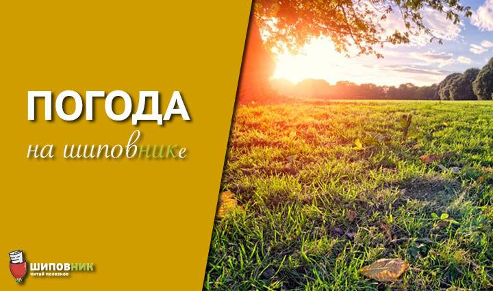 19142132_1792557451059551_605335167_n