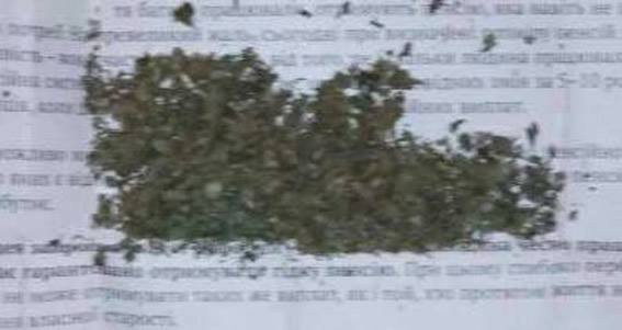 Лешили прав за марихуану рост конопли в гроубоксе