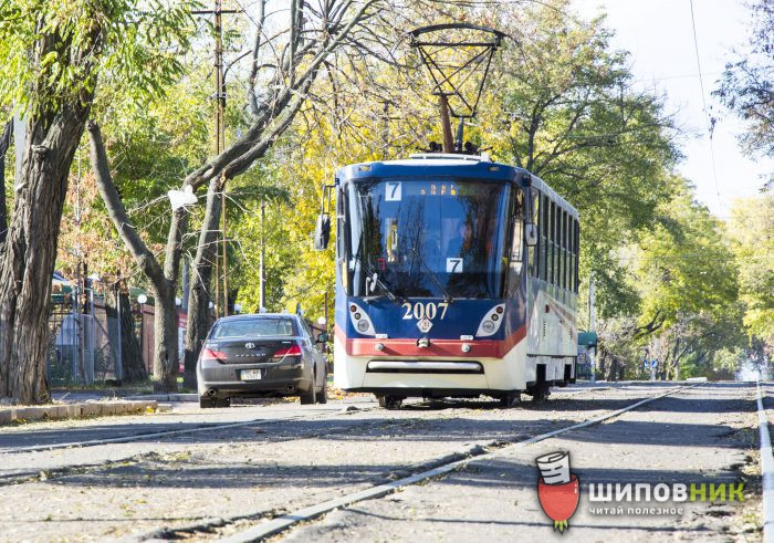 kiokushin-kan_2-700x491