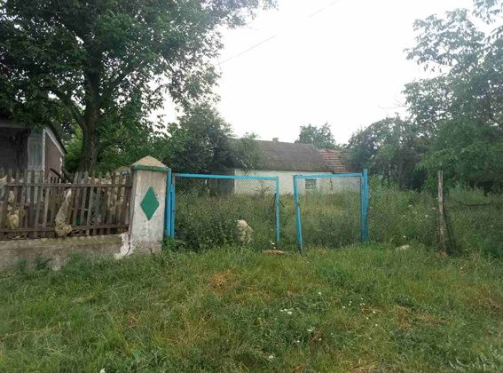 19657114_475686612764388_9050036701219931395_n