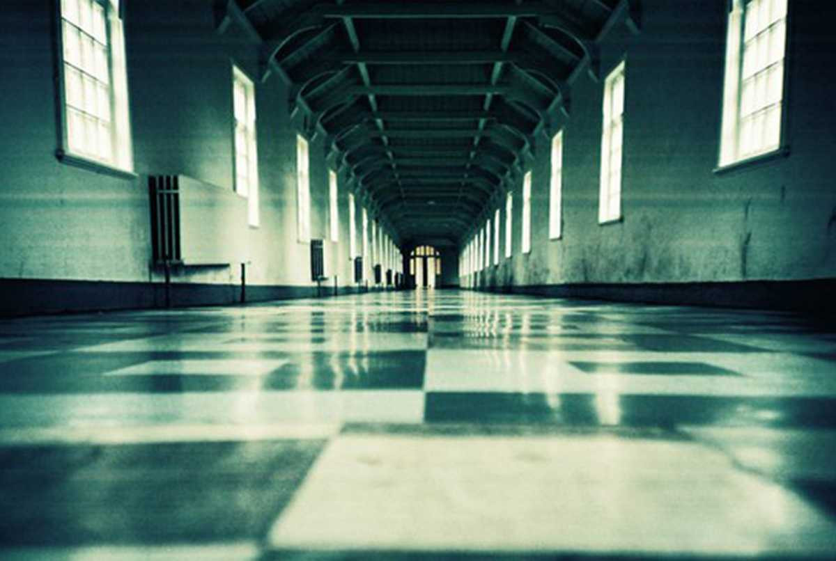 Qu8OaF1WaYk