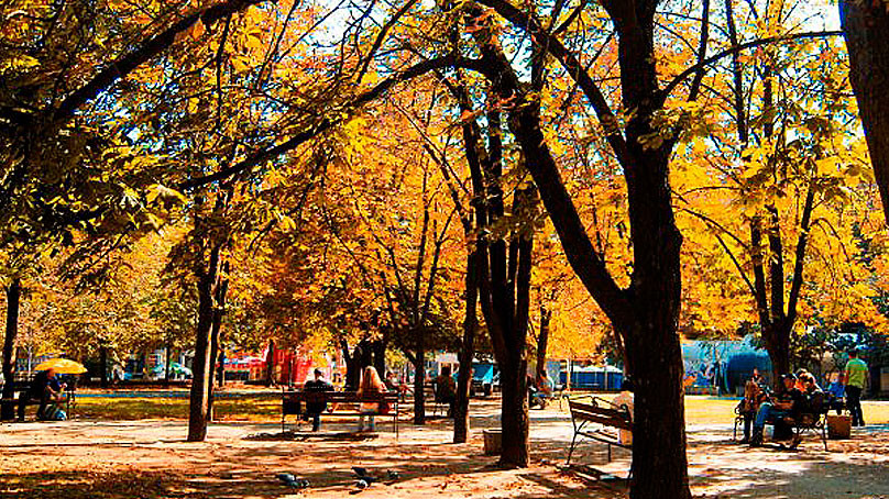 park