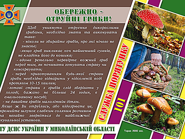 7eb7e3b8a2d1b94ce722a700e649fe90.i999x999x670