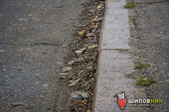 bordyur_4-700x467