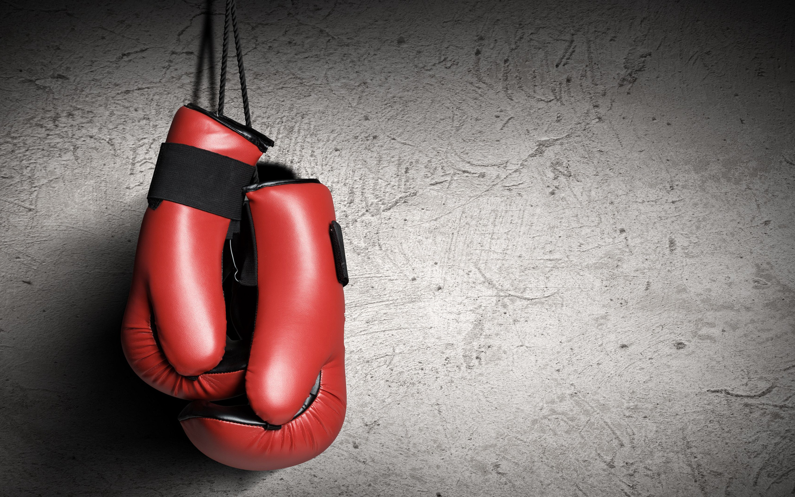 rabstol_net_boxing_28