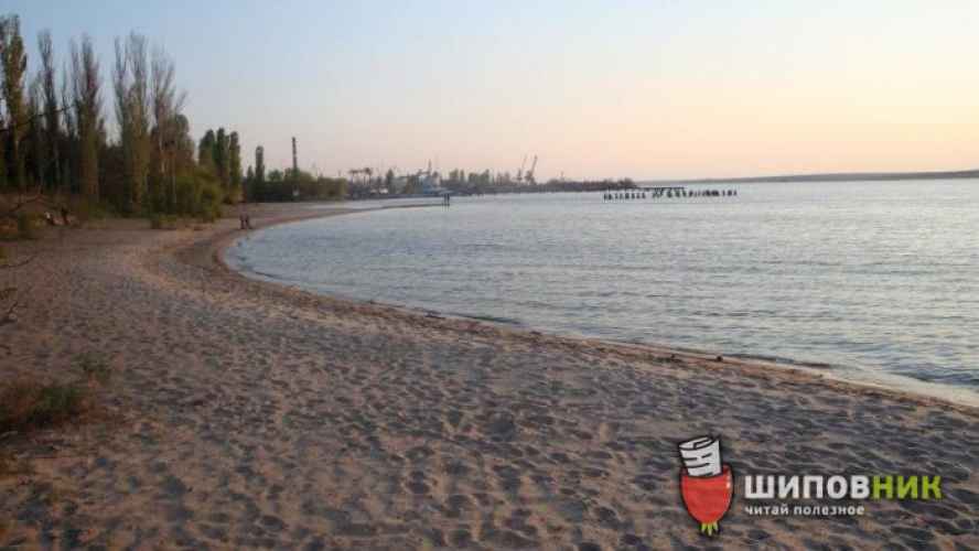 пляж чайка