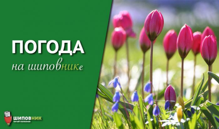 vesna_yasno-700x413