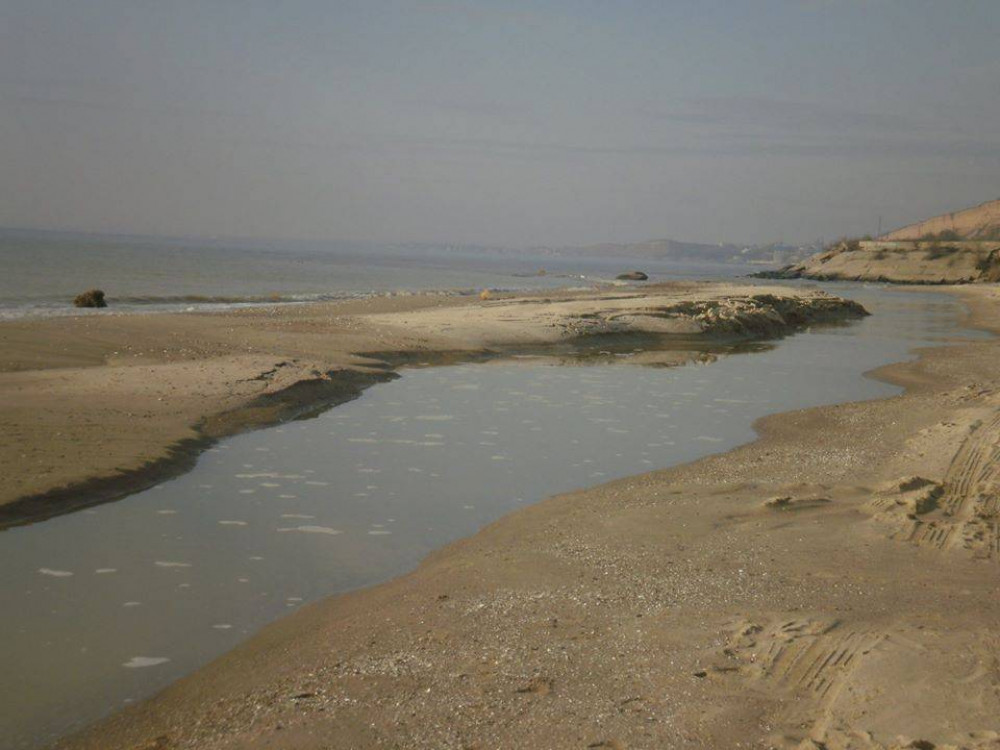 177092_1.jpg