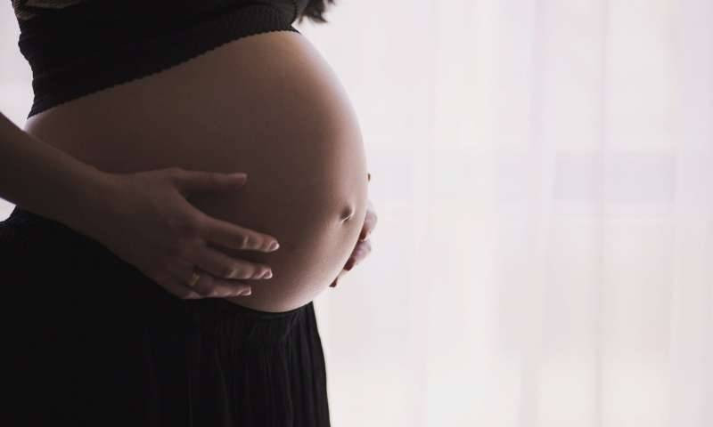5-pregnancy