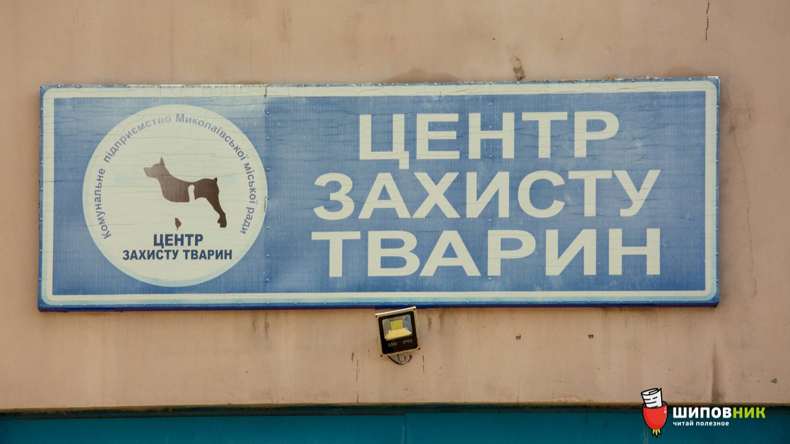 Центр защиты прав животных «Вита». Центр защиты прав животных Вита логотип.
