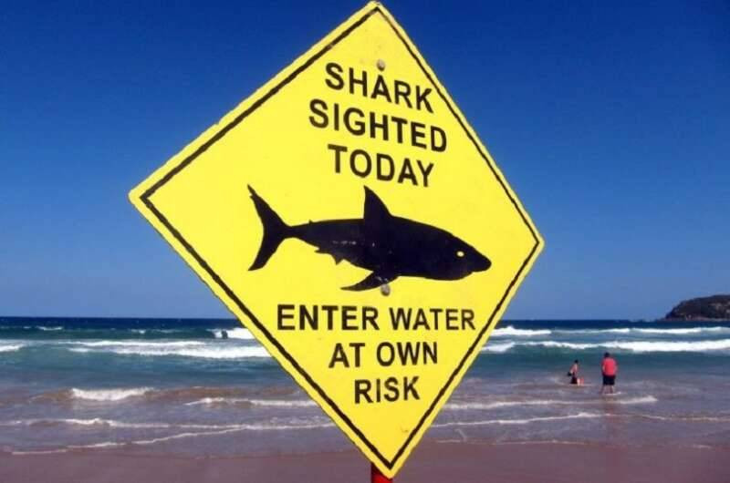 shark-warning-758x510-1-800x530