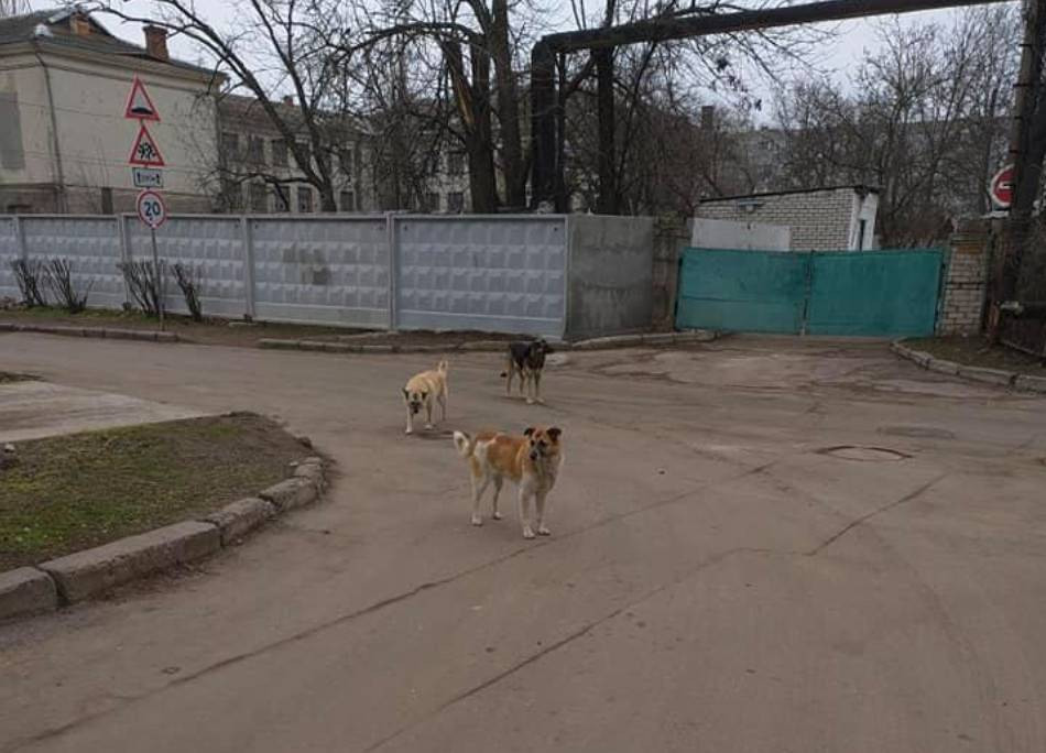 Снимок экрана 2021-03-02 в 14.54.01