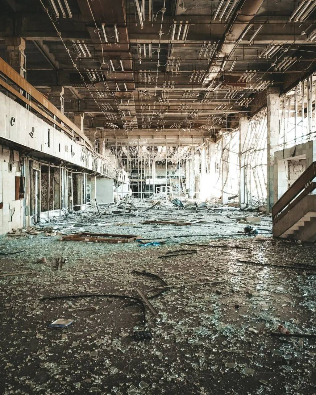 originalлотжлдо