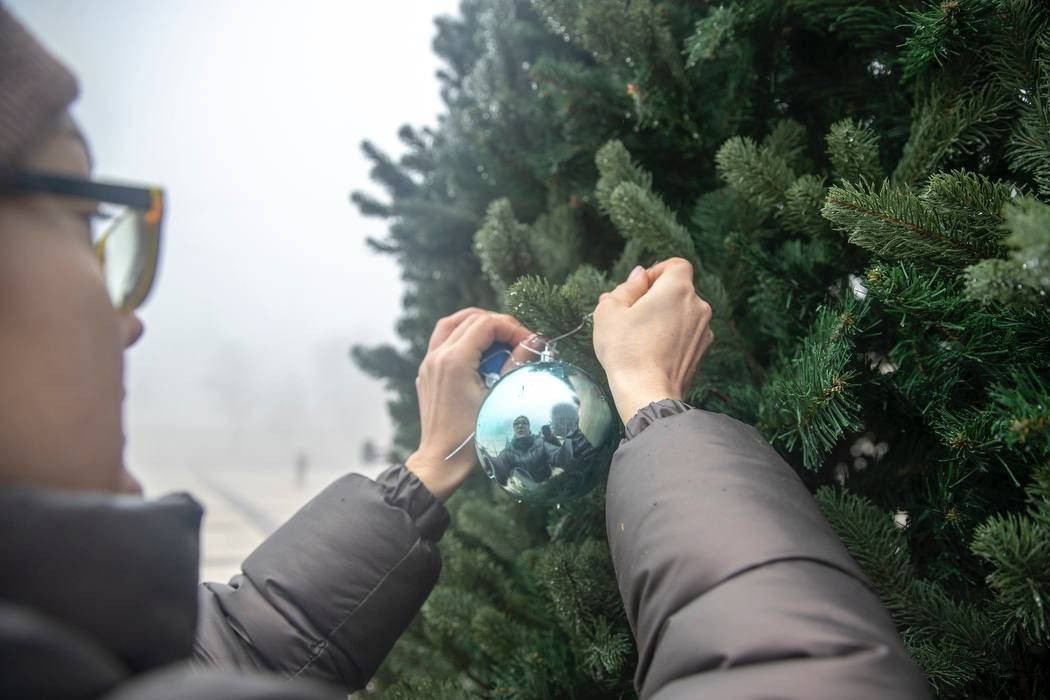 изображение_2022-12-17_155704357