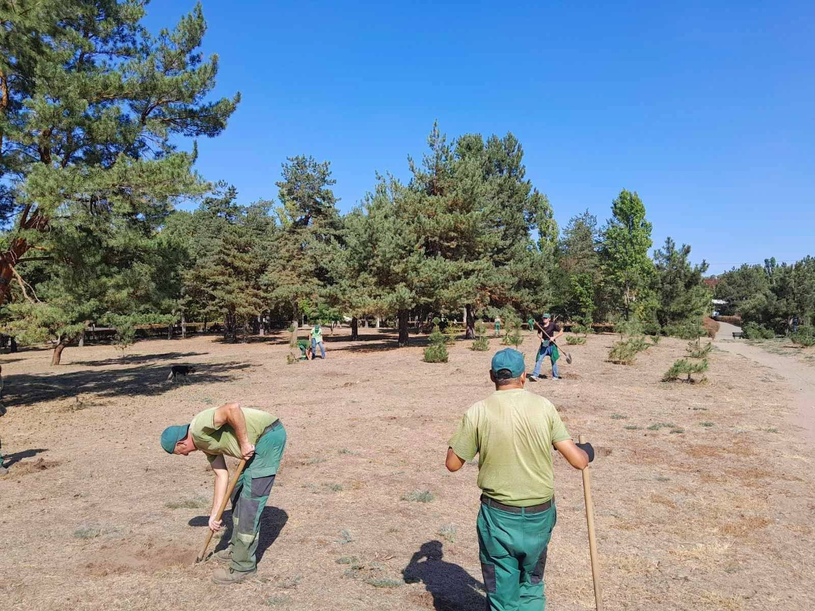 277661_652686c0d7e432_15801317