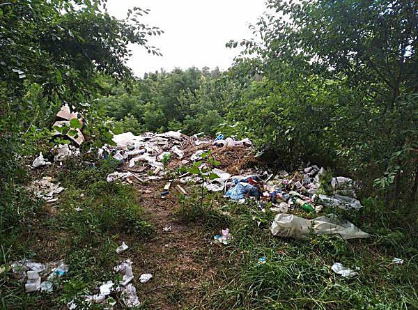 9523eed08434576169046e5bc83ecb12.i999x999x670