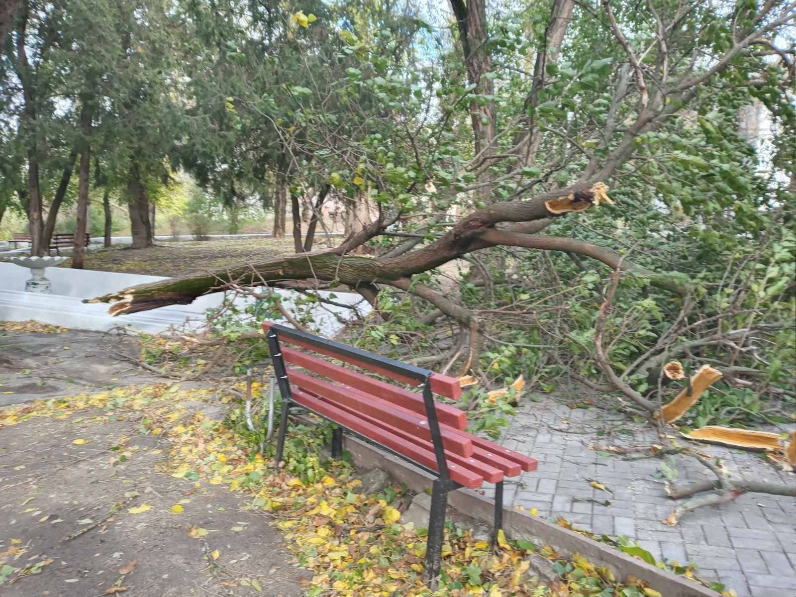 402180995_231450469954859_2788224177462479926_n