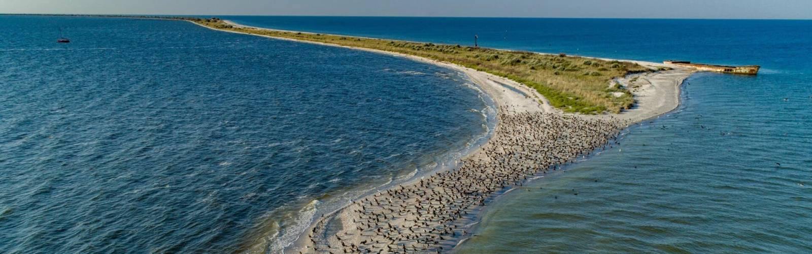 kinburn-spit-ukraine