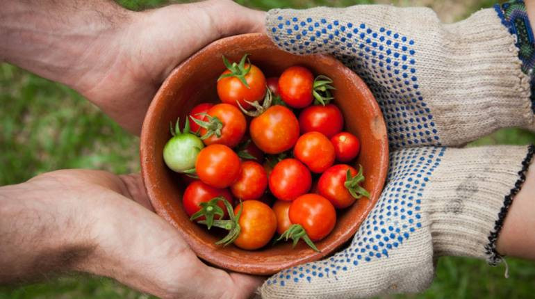 o_1hfp02r211nj8q6i1alq1qtj3u1k