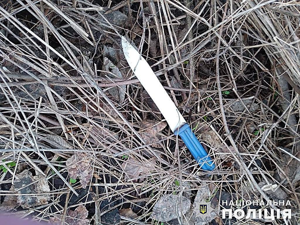 014aa72c524399699fd0a7bd47386398.i999x999x670