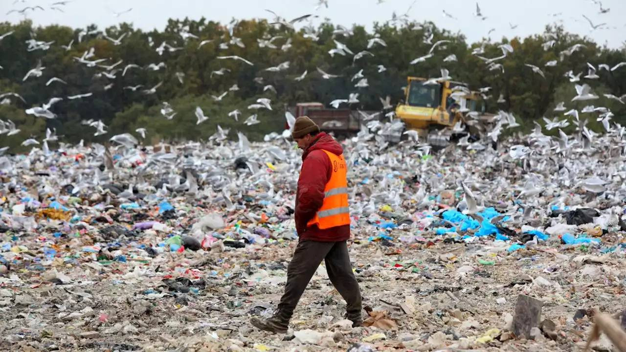 281063_657ad61f968d91_55156978