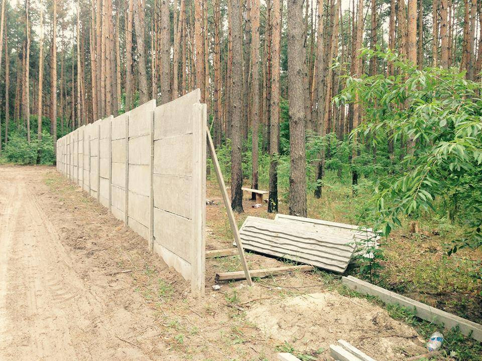 281072_657ac6e7add130_23791808