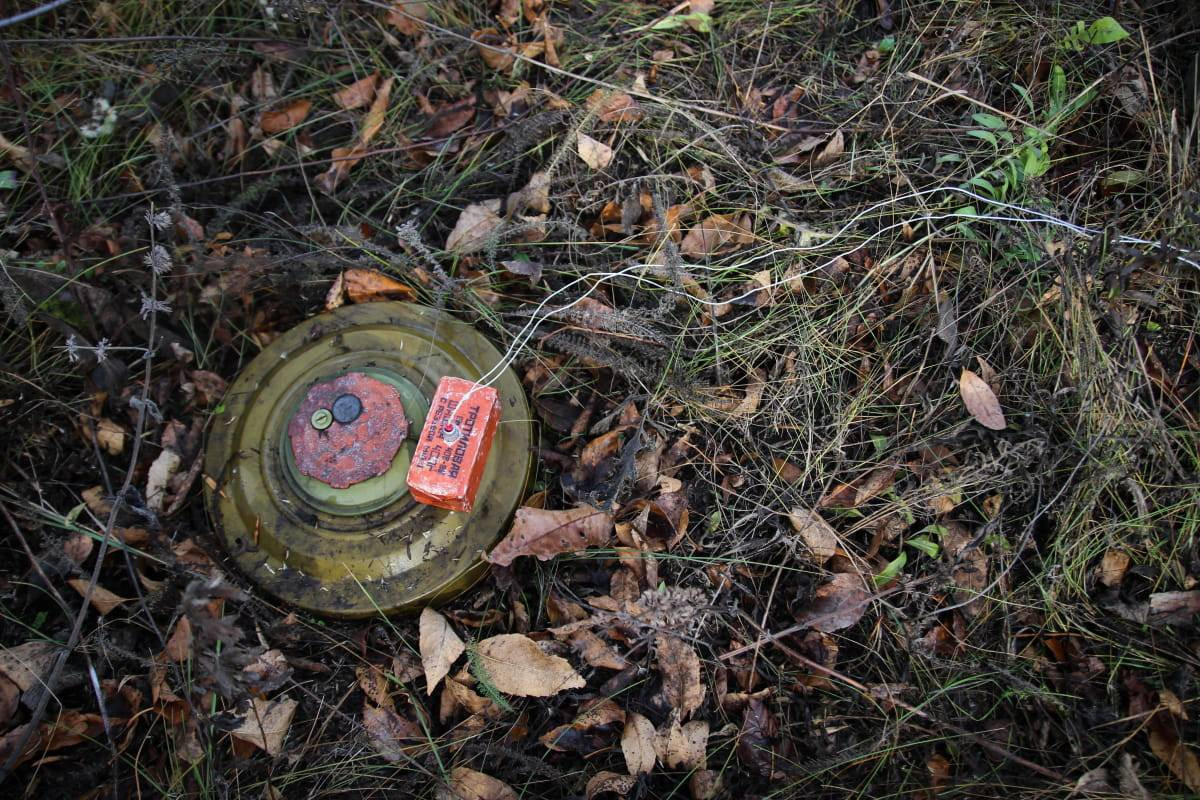 281603_658868b4e0c154_14541353