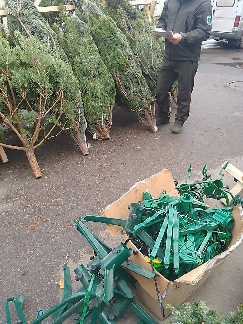 7b42411b7a26b9f9a06ec7825b612b03.i999x999x670