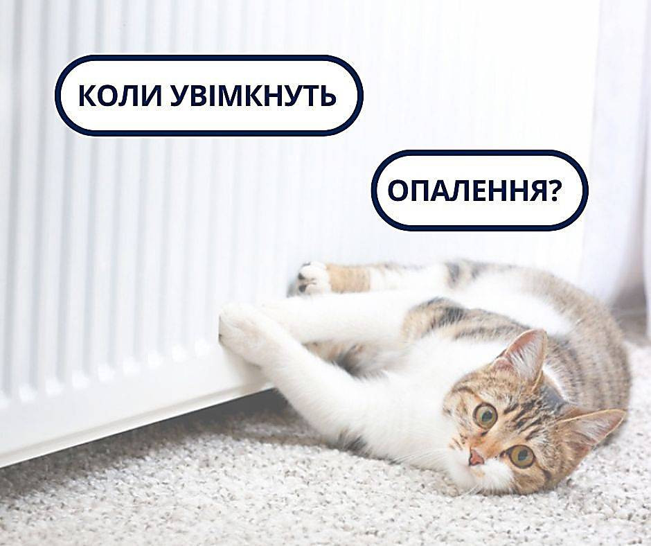 7523e91d4f8f2e51383fe8066a023681.i999x999x670