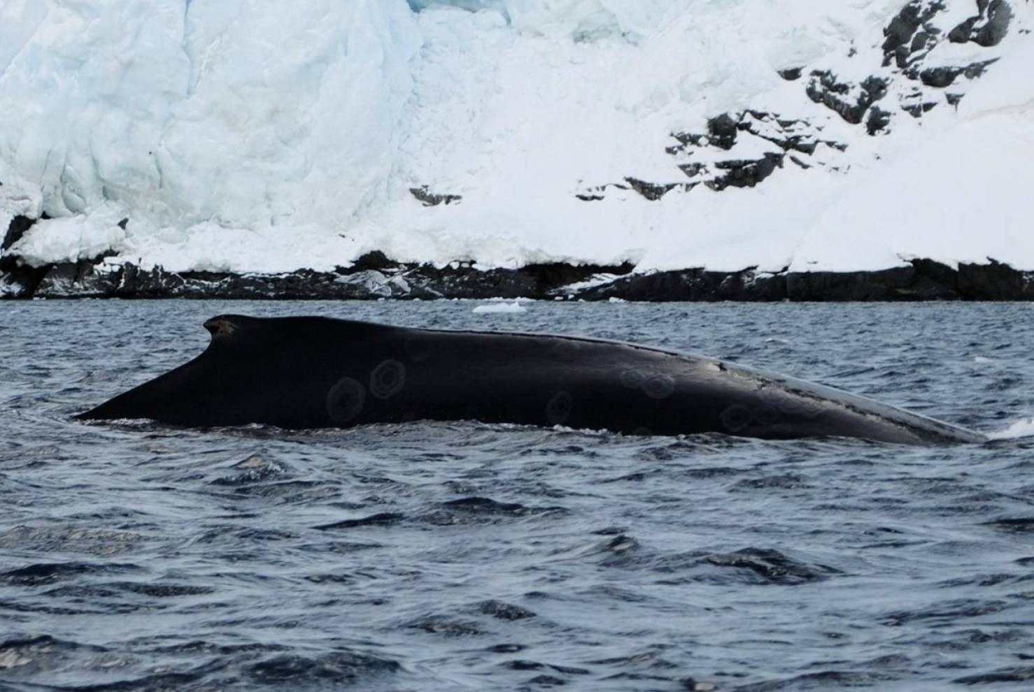 Снимок экрана 2025-10-30 в 16.21.23