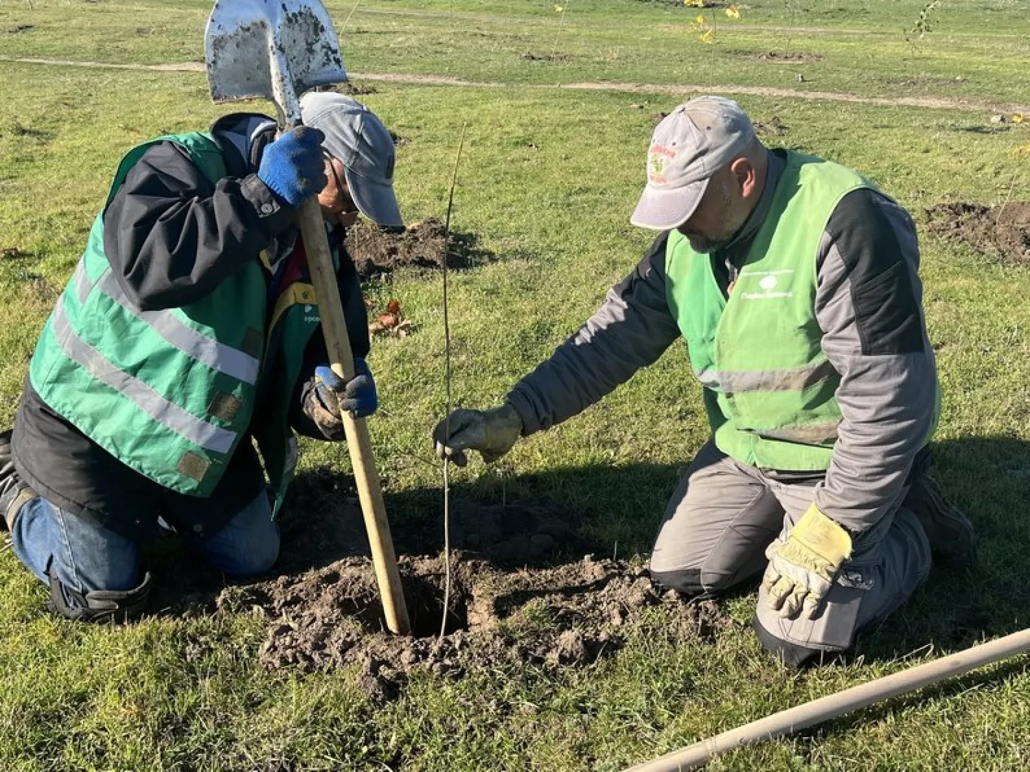 310652_690678a7716311_01752496_1500