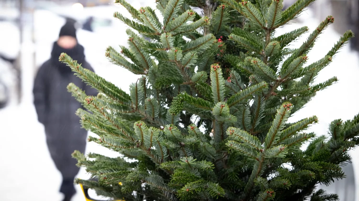 310973_691321dfe72af1_89292864_1500