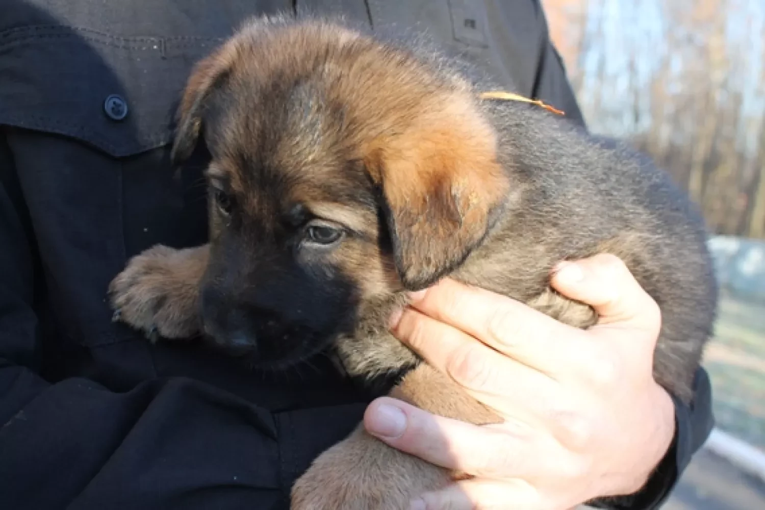 311173_69188fb391bed0_64217392_1500