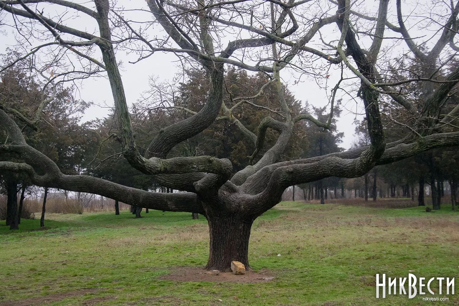 311517_692443274e6be4_36029076_1500