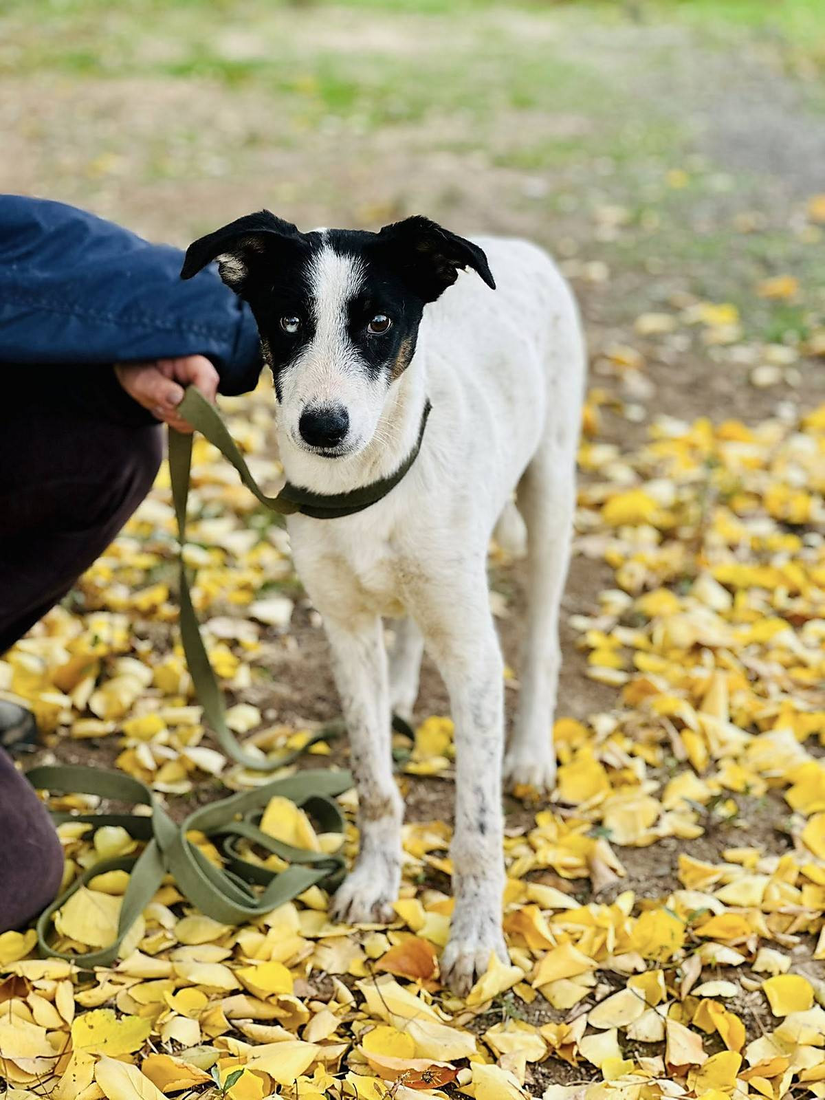 8e393252b0f9cafb1fc843f2ddddc82a.i999x999x670