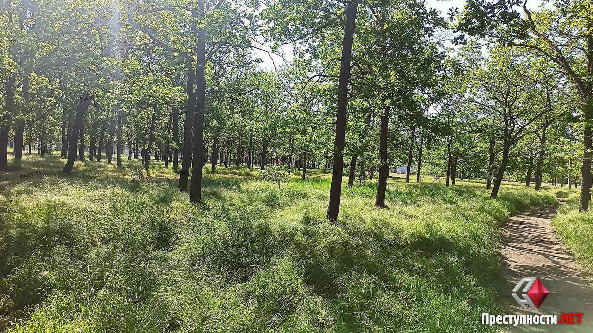 99ad02a7365e4c23d5f2dee6de96c747.i999x999x670