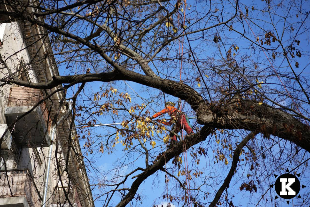 photo_2025-11-25_10-57-55