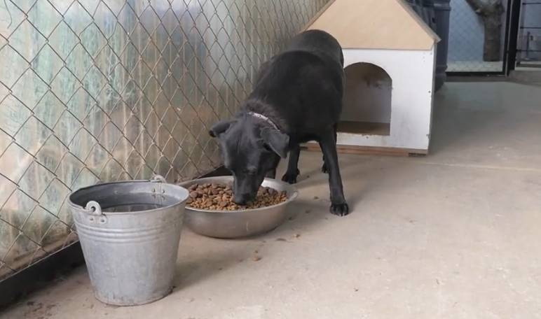 Знімок екрана 2025-11-13 172758