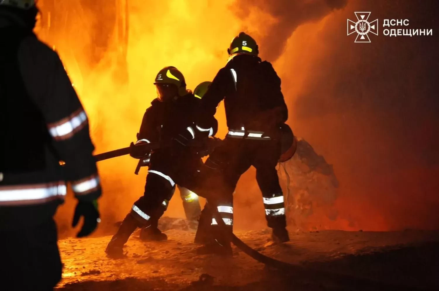 312476_69451c2d791691_16255766_1500